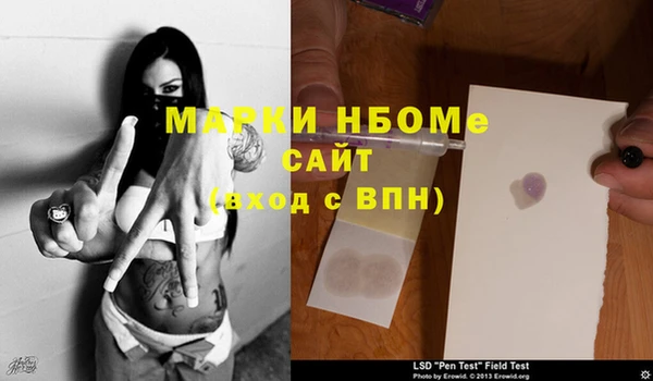 ГАЛЛЮЦИНОГЕННЫЕ ГРИБЫ Абаза