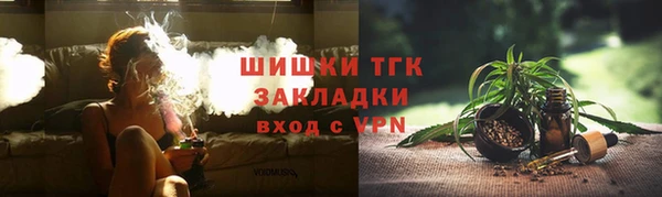 ГАЛЛЮЦИНОГЕННЫЕ ГРИБЫ Абаза