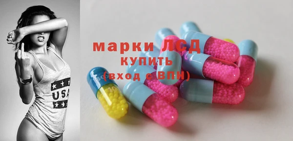 стаф Дмитров