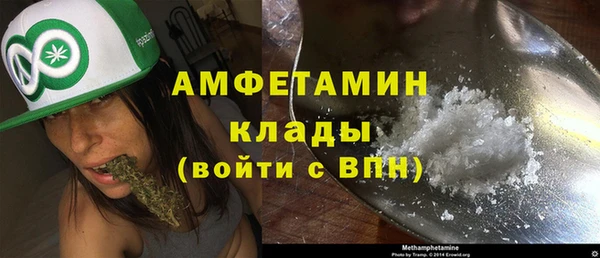 ГАЛЛЮЦИНОГЕННЫЕ ГРИБЫ Абаза